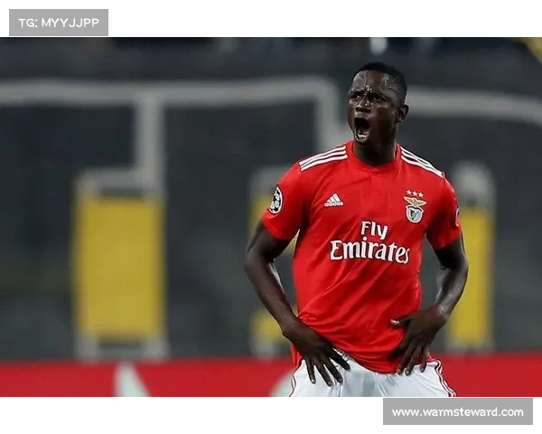 全面解析欧冠与法甲英超意甲联赛差异的深度理解与比较指南实用篇 全面解析欧冠与法甲英超意甲联赛差异的深度理解与比较指南实用篇