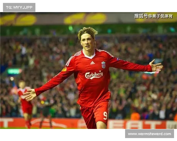 托雷斯绰号背后的五大有趣故事与真相揭秘 托雷斯绰号背后的五大有趣故事与真相揭秘